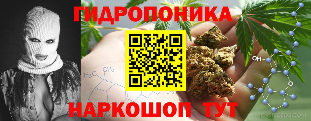 Галлюциногенные грибы Благодарный